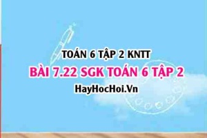 Bài 7.22 SGK Toán 6 tập 2 Kết nối tri thức
